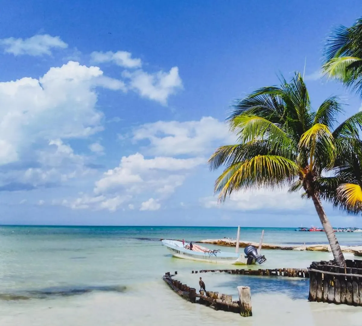 Posada Mar Caribe Isla Holbox 0*,  Mexico